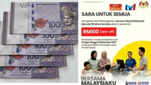 Here’s how to check if your RM100 has been credited to your MyKad on August 31