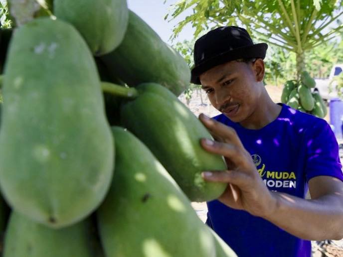 He drew on his own experience and his father's inspiration to start his farming journey after completing his SPM