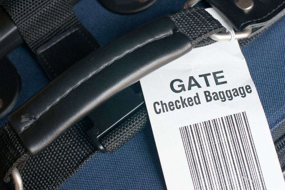 Passengers are reminded to bring all required travel documents and ensure proper baggage check-in to avoid delays during the busy holiday period
