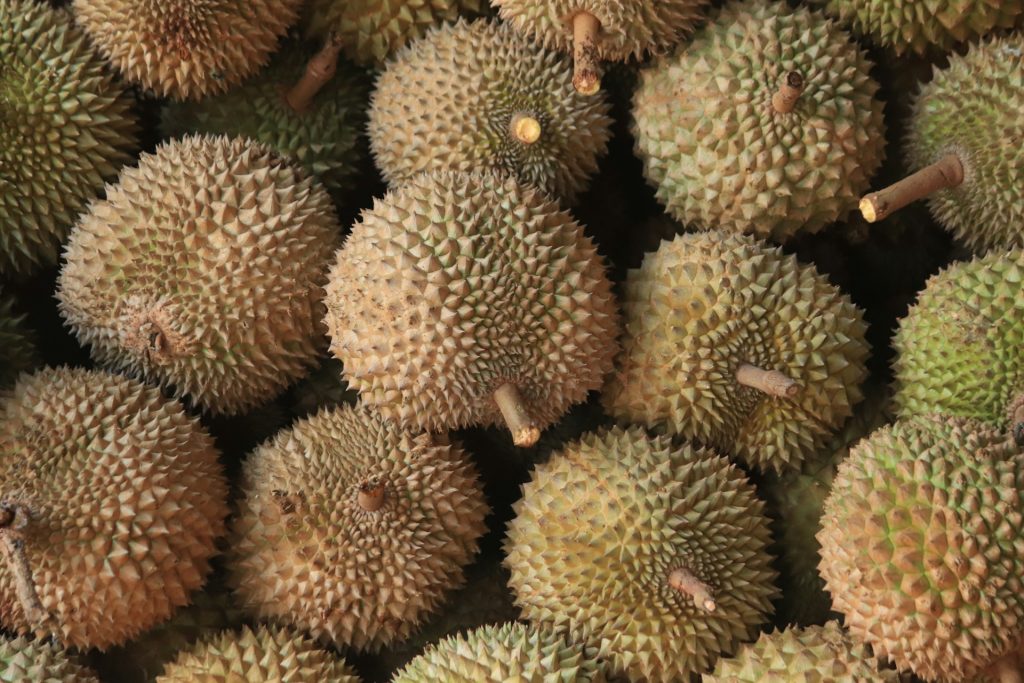 durian