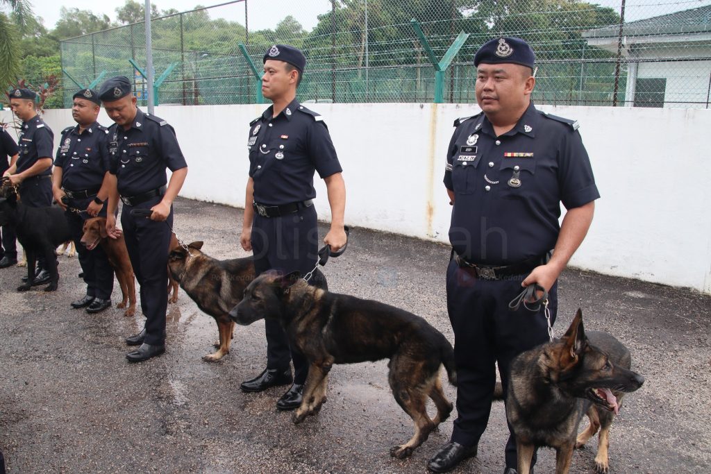 Police officers line up with their K9 partners, showcasing the bond between handlers and service dogs