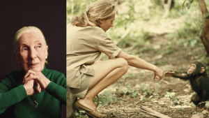 jane goodall passes away at 91