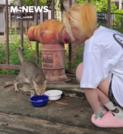 The woman offered the stray cats food as a way of saying thank you
