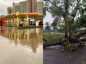 Tropical storm “Senyar” hits Port Dickson: trees uprooted, floods, and buildings damaged