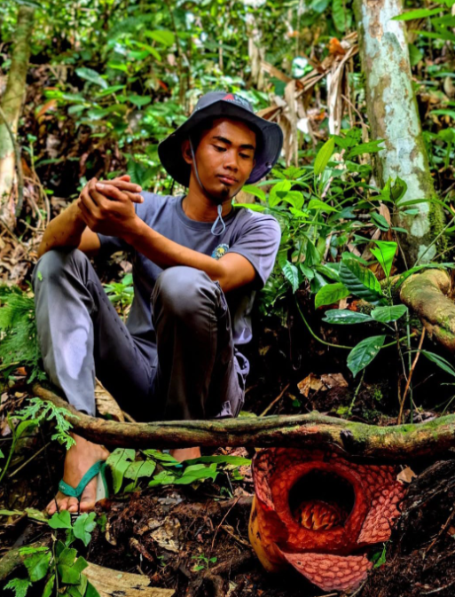 They were waiting for the blooming of Raflessia