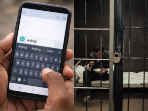 Think before you insult, calling someone an animal can now land you in trouble in Indonesia