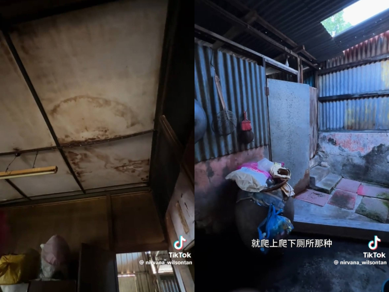 It's apparent that their living conditions are not great. 
