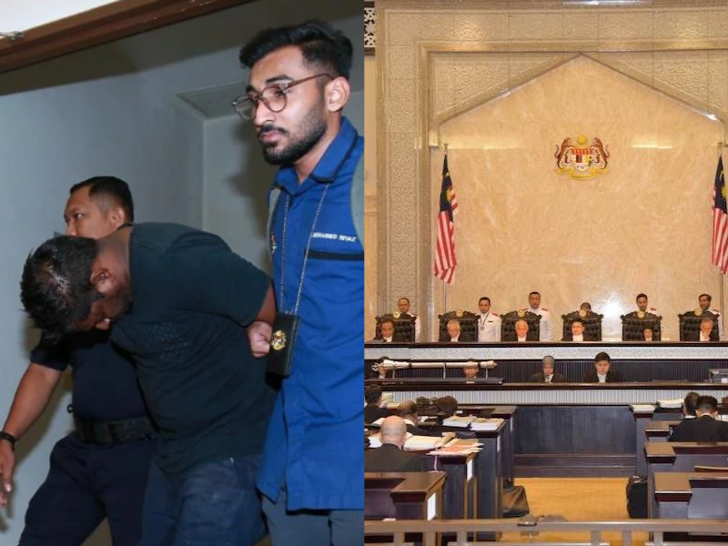 Malaysian man gets 22-month's jail sentence for killing kitten