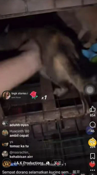 M'sian man runs into burning hell to save trapped cats in recent Sandakan fire