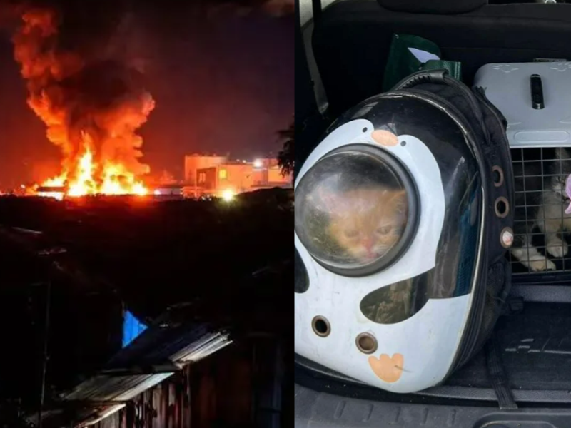 M’sian man risks life running into blazing inferno to save trapped cats in Sandakan fire