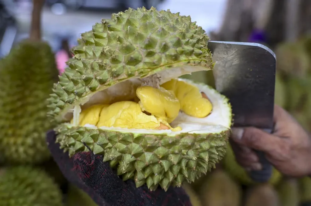 Durian prices collapse, you can now buy them for just 50 sen