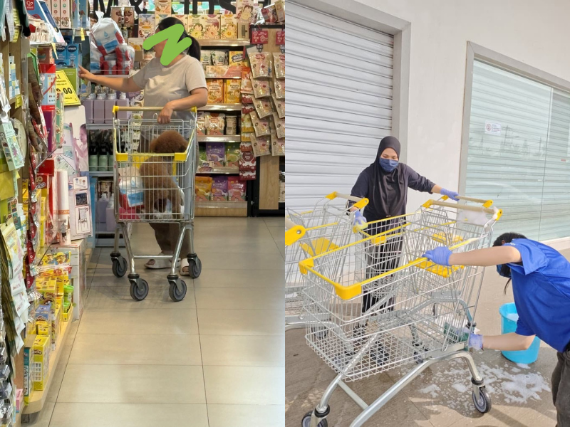 Retail shop performs sertu, replaces trolleys after dog spotted sitting in shopping cart