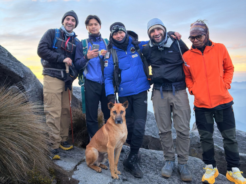 Dog steals the spotlight after it was seen striking a dashing pose with hikers at Mount Kinabalu