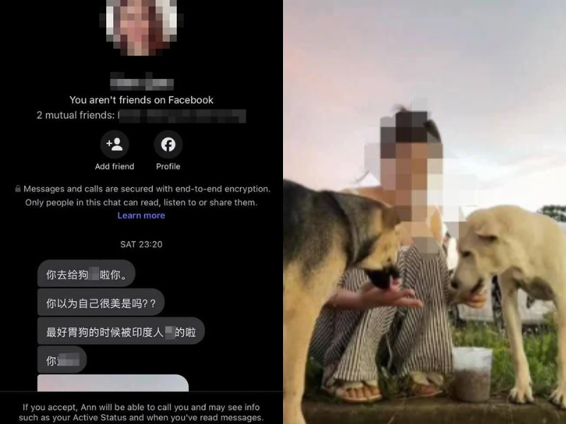 M’sian woman receives sexual threats from stranger after feeding stray dogs outside temple