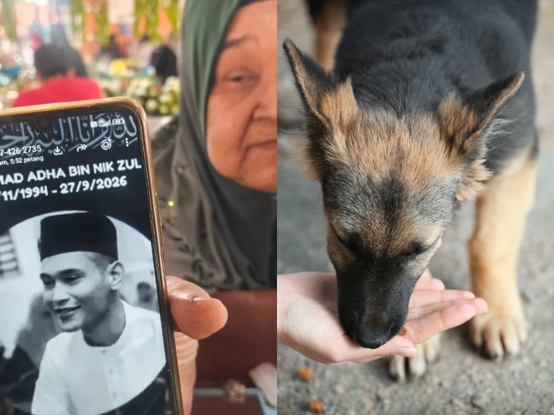 Kind M'sian man who fed stray dogs during his free time dies from rabies after being bitten