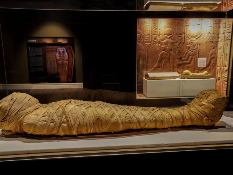 Malaysians can see real Egyptian mummies in Sarawak from July 2027